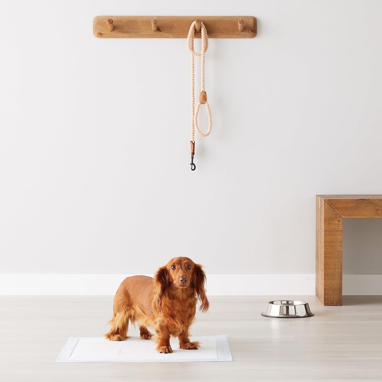"50 Dog Pads - Leak-Proof, Quick-Dry, 5 Layers of Protection"