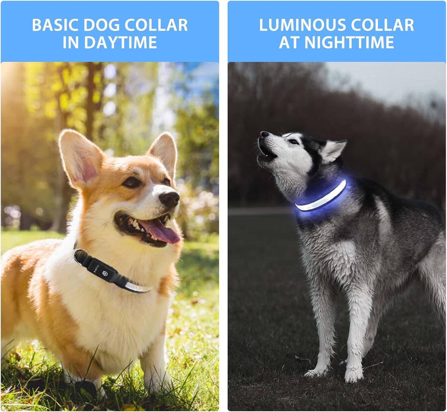 "Rechargeable LED Dog Collar - Waterproof, Adjustable Safety Light"