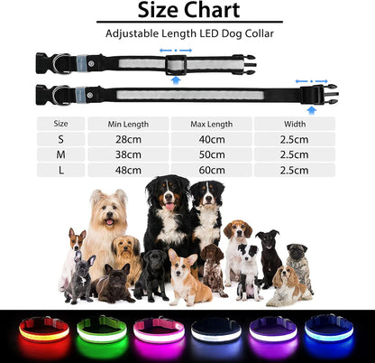 "Rechargeable LED Dog Collar - Waterproof, Adjustable Safety Light"