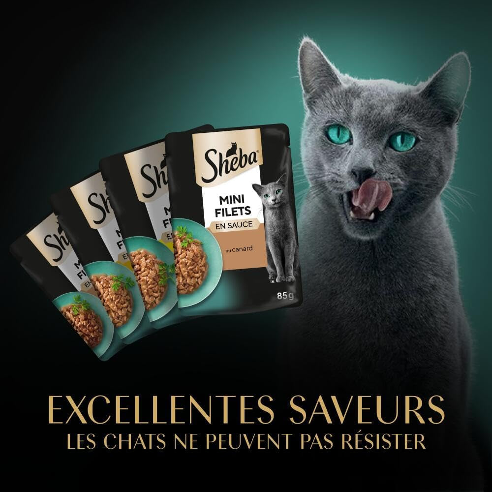 "Gourmet Cat Pouches - Mini Fillets in Poultry Sauce"